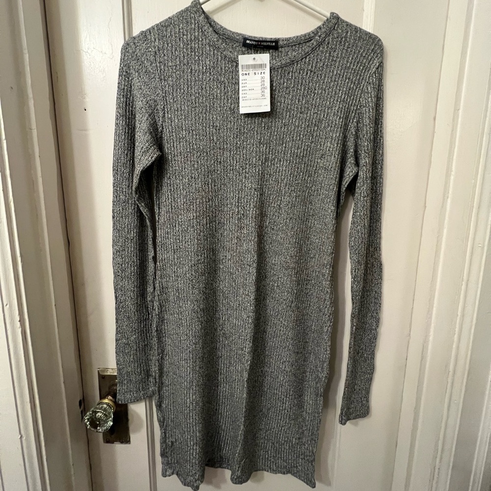 NWT! Brandy Melville heather grey long sleeve dress size: one size